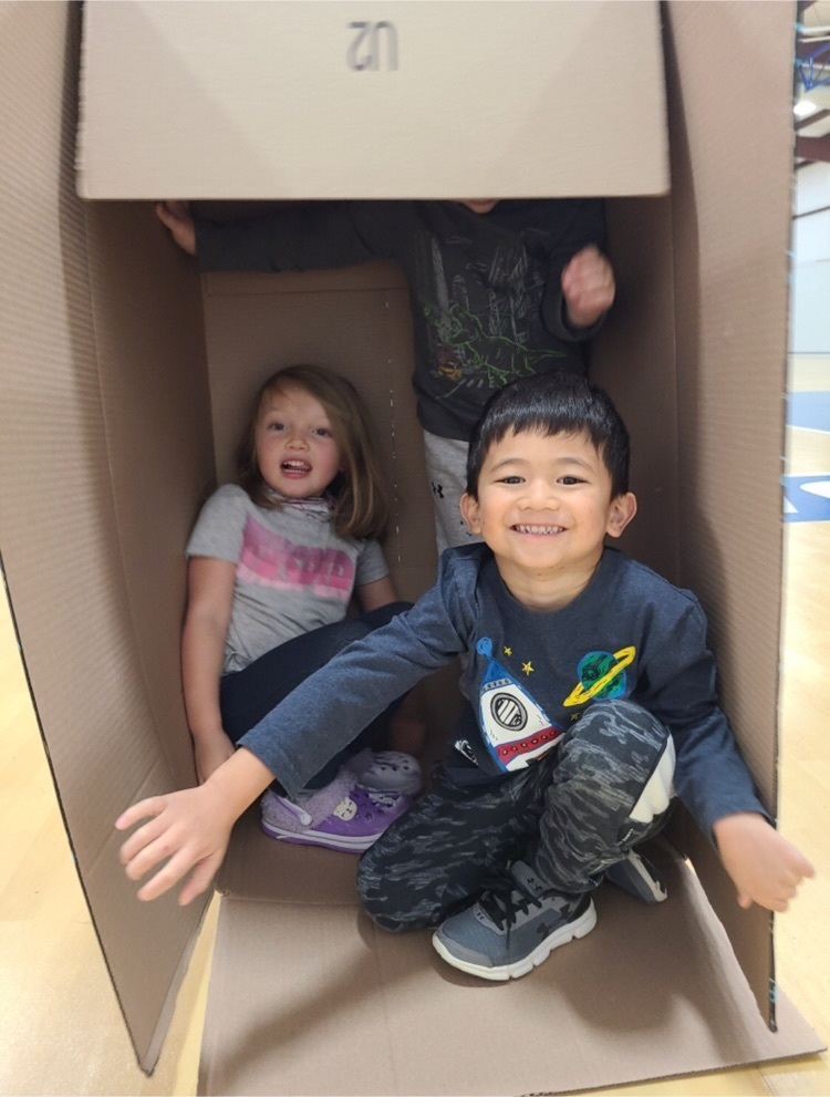 kids in boxes 