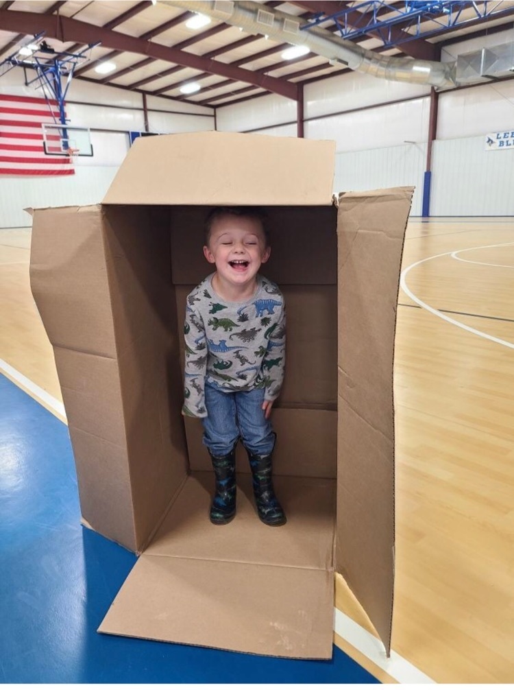 kids playing in boxes